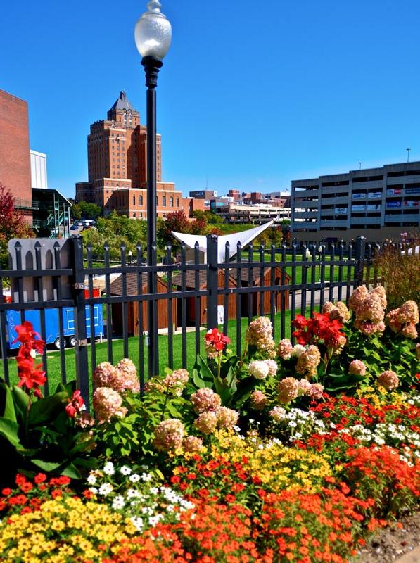 Downtown garden with flowers with city buildings in the background